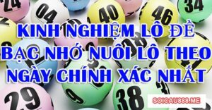 kinh nghiem lo de bac nho