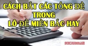 cach bat cac tong dac biet 1
