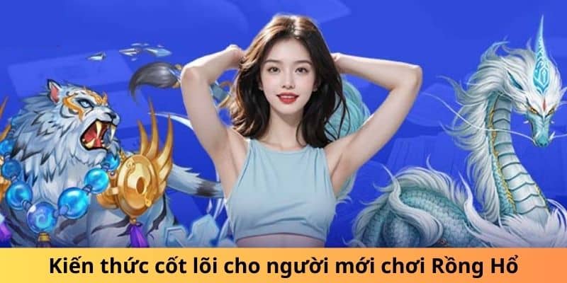 Kiến thức cốt lõi cho người mới chơi Rồng Hổ