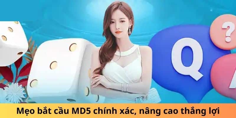 Mẹo bắt cầu MD5 chính xác, nâng cao thắng lợi